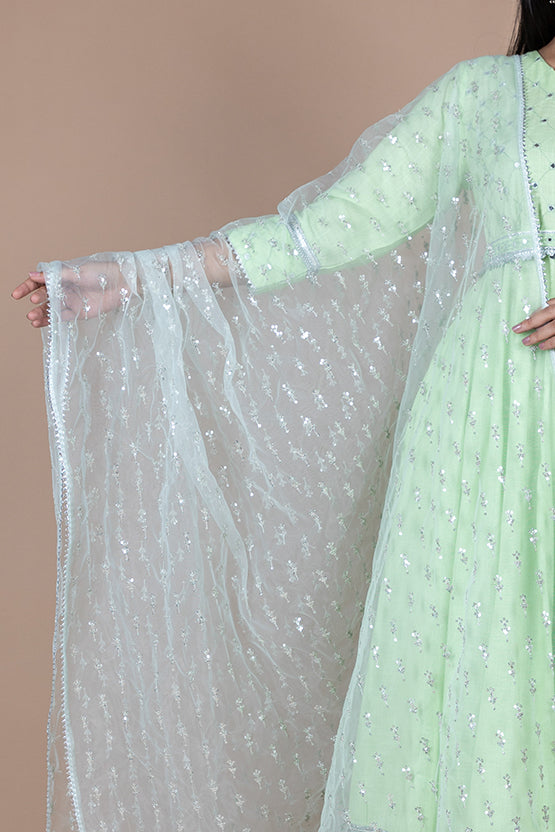 Green & Silver-Toned Ethnic Motifs Embroidered Dupatta