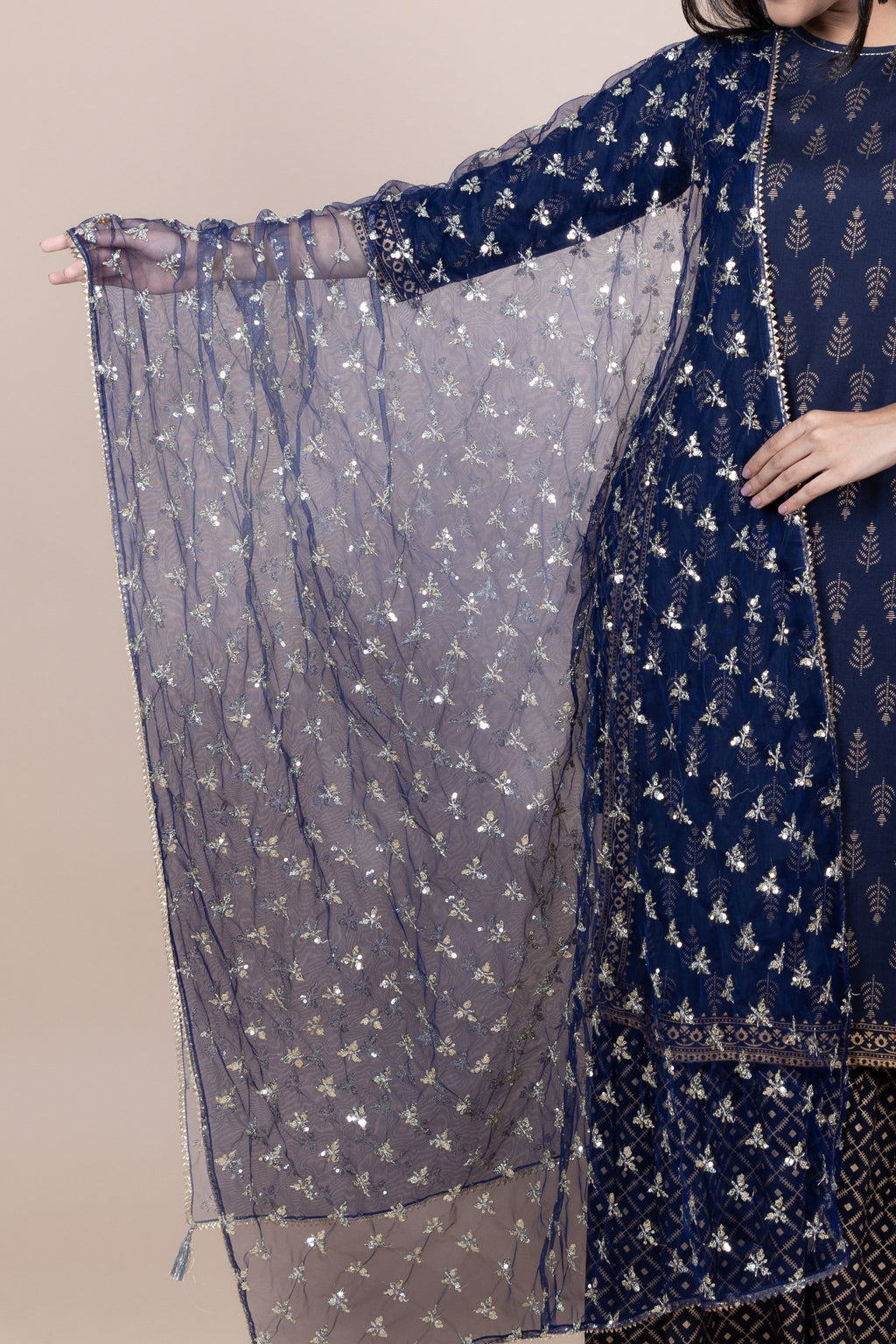 Navy Blue & Gold-Toned Ethnic Motifs Embroidered Dupatta